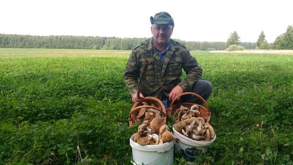  ,   Schuriks, 52 ,   ,   