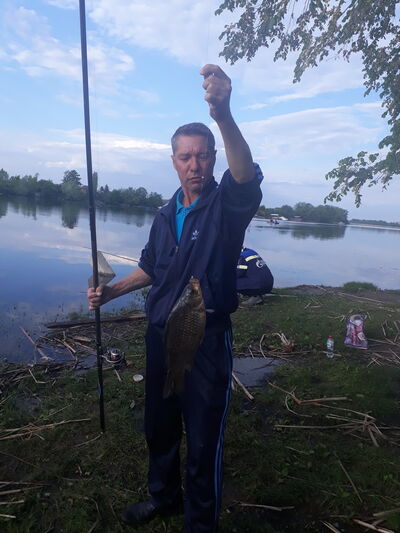  ,   , 54 ,   ,   