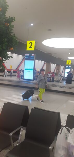  ,   , 66 ,   ,   