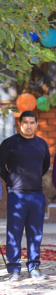  ,   Aristocrat, 40 ,   ,   
