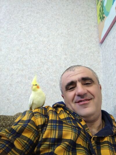  ,   , 47 ,   ,   , 