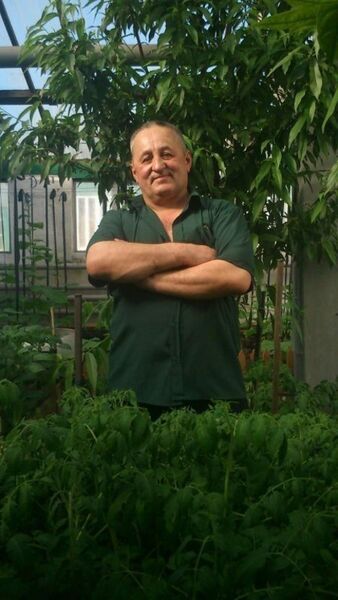  ,   Rashit, 60 ,   ,   , c , 