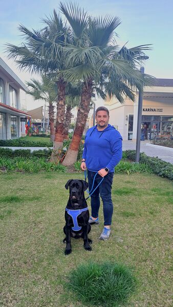  Cesme,   Yashar kozan, 36 ,   ,   , c , 