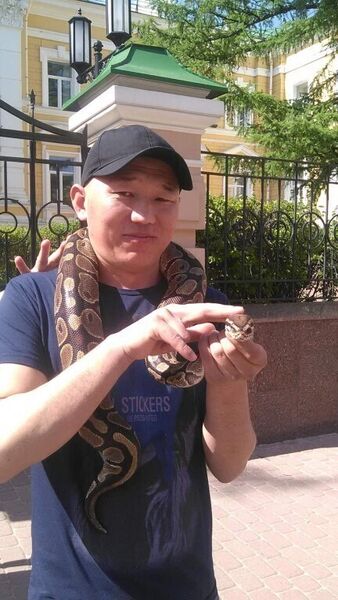  ,   Bakhtiar, 37 ,   ,   , c 