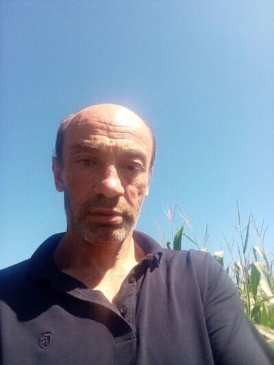  -,   , 47 ,   ,   