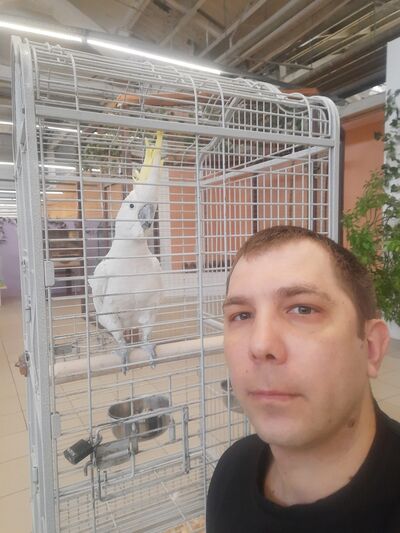  ,   Andrey, 37 ,   ,   , c 