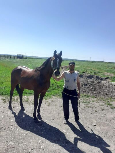  ,   Valera, 48 ,   ,   