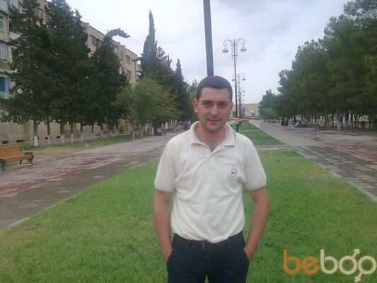  ,   GAMBULIK, 38 ,   ,   , c , 