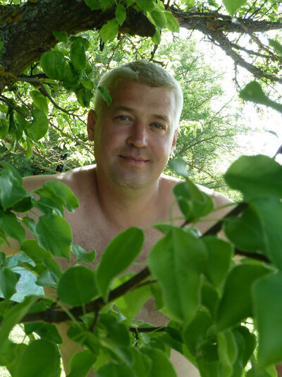  --,   , 48 ,   