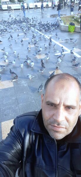  Tlemcen,   Mustafa, 44 ,   ,   , c 