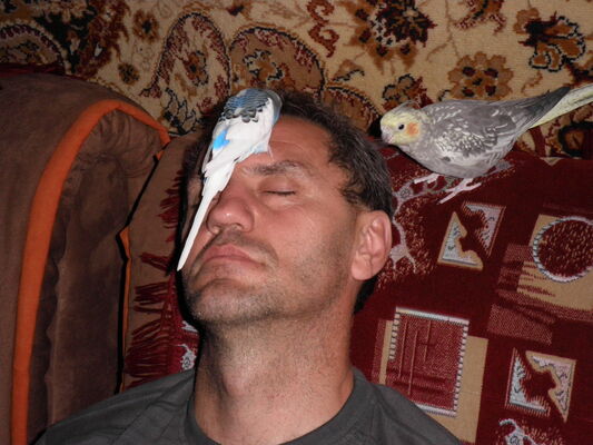  ,   Gymbert, 60 ,   ,   , c 