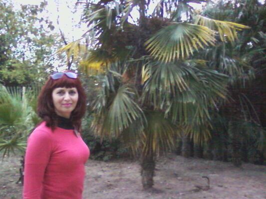  ,   , 53 ,   ,   , c 