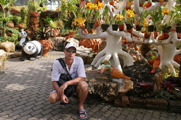  ,   , 53 ,  