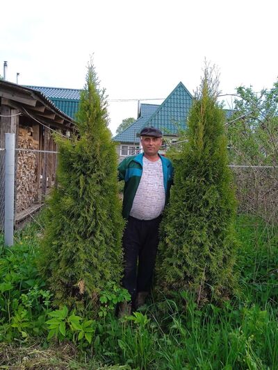  ,   Anvar, 35 ,   ,   