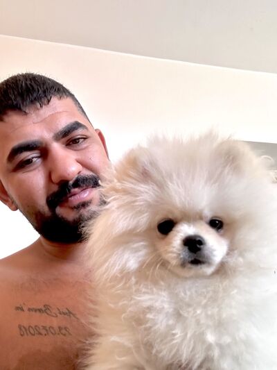  Albano Laziale,   , 31 ,   ,   