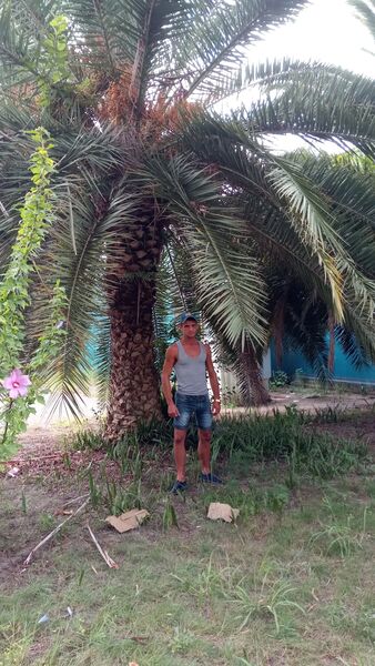  ,   Dimarik, 34 ,   ,   