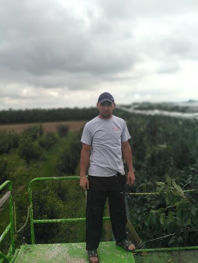  Brzeziny,   , 35 ,   ,   , c , 