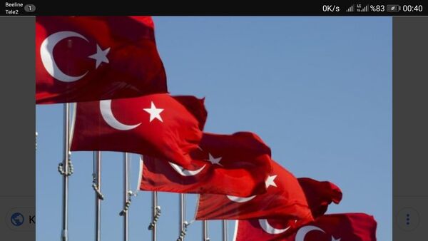  ,   Navy Turkey, 43 ,   ,   , c , 