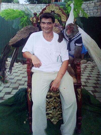  ,   , 50 ,   ,   , c 