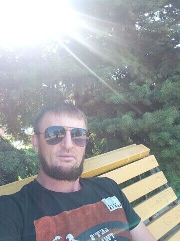  ,   ZAUR, 41 ,   ,   