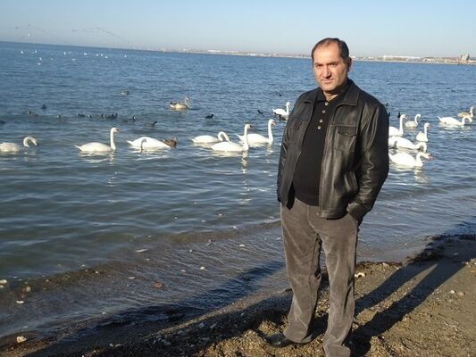 ,   , 55 ,  