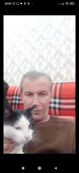  -,   , 54 ,   ,   