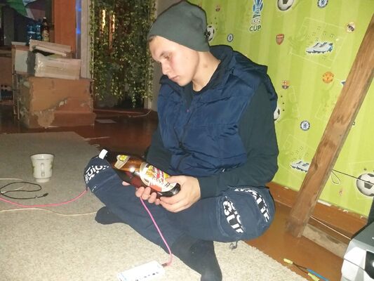  ,   Gusli goose, 26 ,   ,   