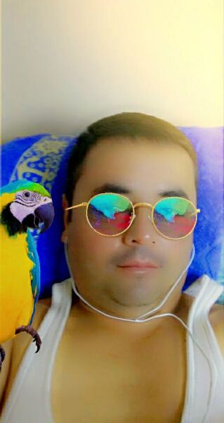  ,   , 39 ,   ,   
