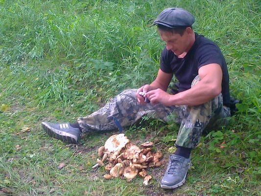  ,   Andrei33, 44 ,   