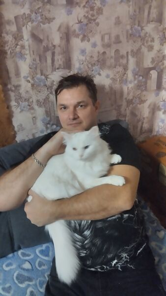  ,   , 44 ,   ,   