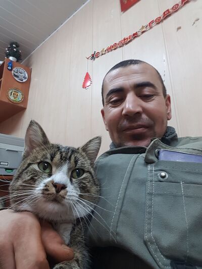  -,   , 34 ,   ,   