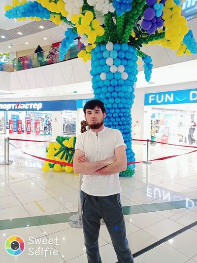  -,   , 28 ,   ,   