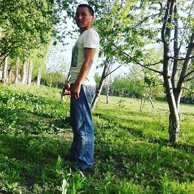  -,   , 48 ,   ,   , c 