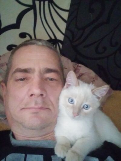  -,   , 50 ,     , c , 