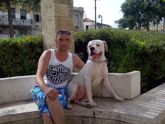  Holon,   Alex, 47 ,   