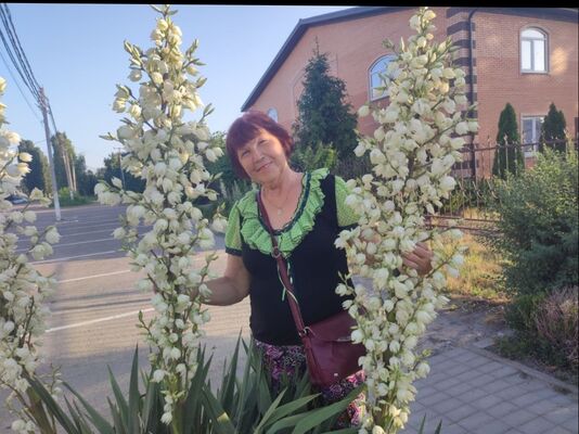  ,   , 72 ,   ,   , c , 