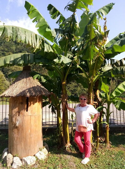  ,   , 48 ,   ,   , c 