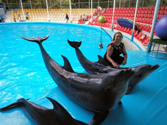  ,   , 61 ,   ,   , c 