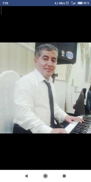 ,   Elman, 50 ,     , c , 