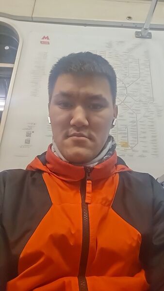  ,   Never, 33 ,   ,   