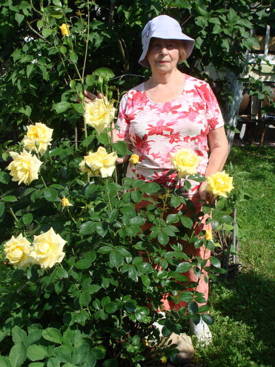  ,   , 73 ,  