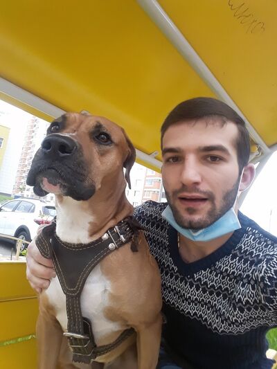  ,   Ashot, 31 ,   ,   , c 