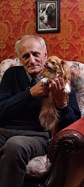  -,   , 82 ,   ,   