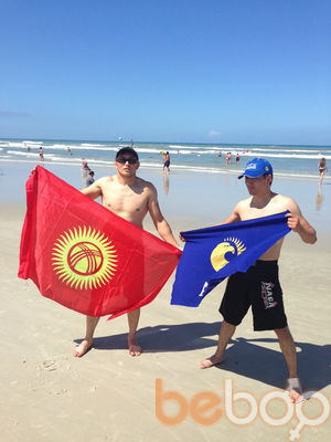  3264474  Demo 123, 40 ,    