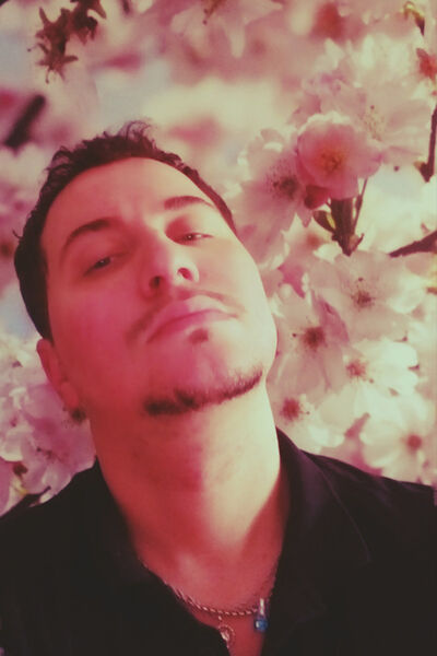  ,   , 31 ,  