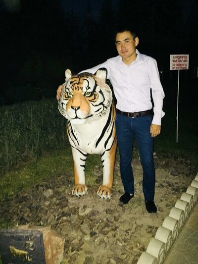  ,   , 33 ,   ,   
