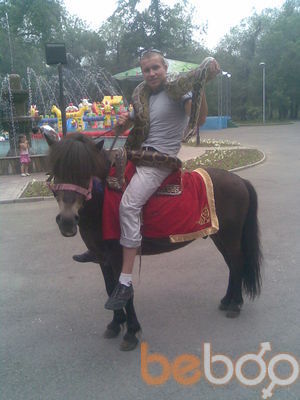  ,   Taxan, 33 ,   