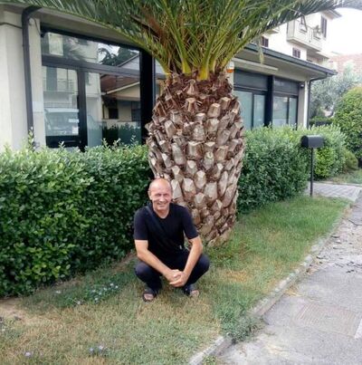   ,   , 55 ,   ,   