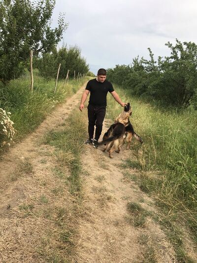  ,   Irakli, 33 ,   ,   