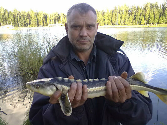  ,   , 62 ,   